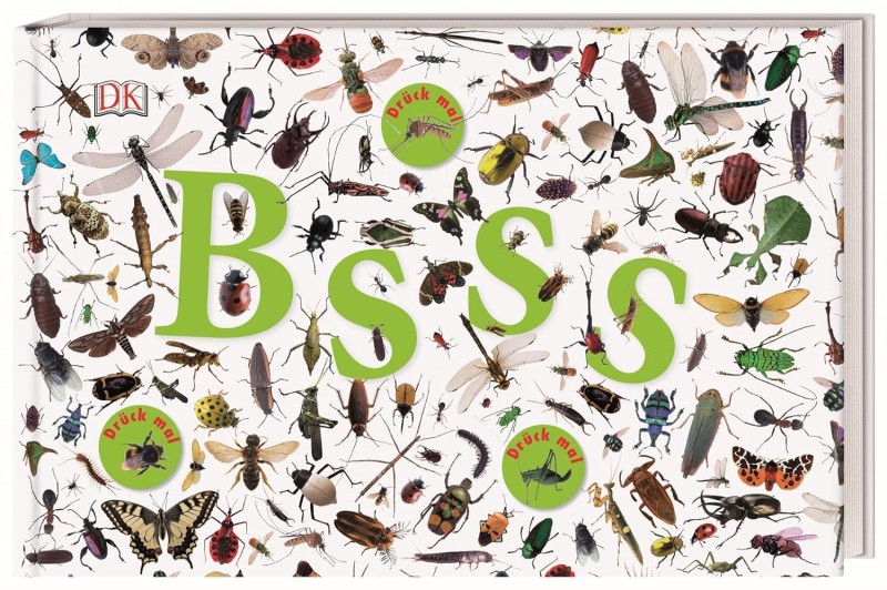BSSS: die ganze Welt der Insekten