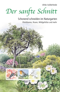 Aufderheide: Der sanfte Schnitt
